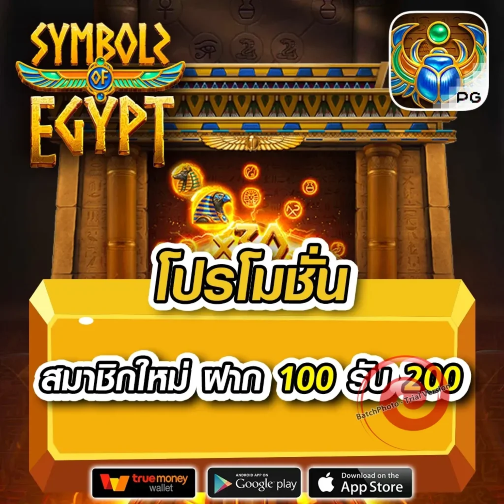 คาสิโน m4-vegus